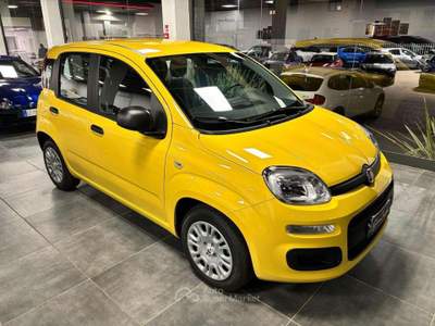 Fiat Panda 1.0 FireFly S&S Hybrid Pop - KM 0 - PREZZO PROMO Giallo usata Busto Arsizio
