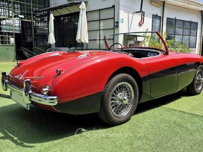 Austin Healey -Healey 100 BN1 – 1954 Rosso usata Pianezza