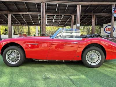 Austin Healey -Healey 3000 BJ8 MK III – 1965 Rosso usata Pianezza