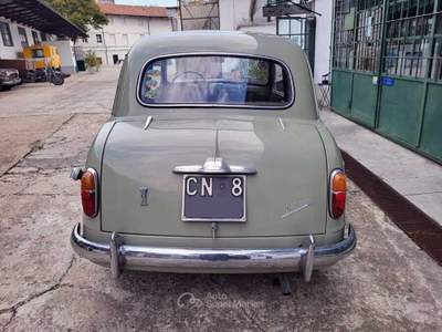 Fiat 500 1100/103 Berlina – 1954 Oro usata Pianezza