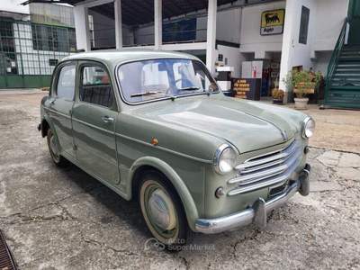 Fiat 500 1100/103 Berlina – 1954 Oro usata Pianezza