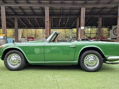 Triumph TR4 IRS – 1966 Oro usata Pianezza