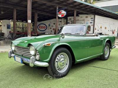 Triumph TR4 IRS – 1966 Oro usata Pianezza