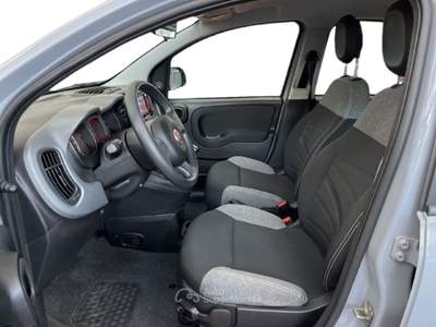 Fiat Panda III 2021 1.0 firefly hybrid City Life s&s 70cv Grigio usata Torino