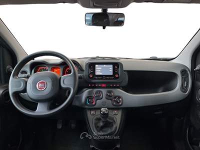 Fiat Panda III 2021 1.0 firefly hybrid City Life s&s 70cv Grigio usata Torino