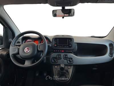 Fiat Panda III 2021 1.0 firefly hybrid City Life s&s 70cv 5p.ti Bianco usata Torino