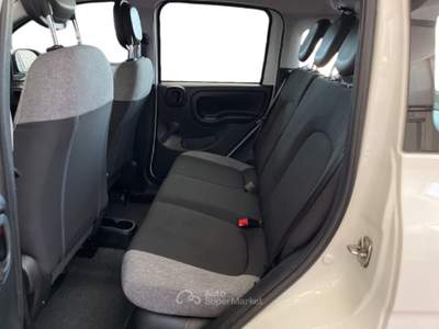 Fiat Panda III 2021 1.0 firefly hybrid City Life s&s 70cv 5p.ti Bianco usata Torino