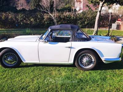 Triumph TR4 Spyder Bianco usata Torino