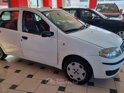 Fiat Punto 5 porte Active Natural Power Bianco usata Bisceglie