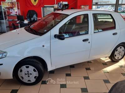 Fiat Punto 5 porte Active Natural Power Bianco usata Bisceglie