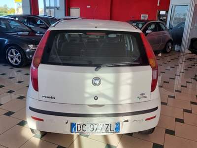 Fiat Punto 5 porte Active Natural Power Bianco usata Bisceglie