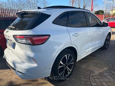Ford Kuga STLINE ECOBOOST GARANZIA Grigio usata Aprilia