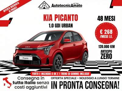 Kia Picanto 1.0 GDi 5 porte Urban usata Marsala