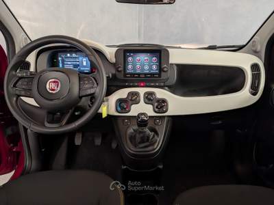 Fiat Panda Panda - 1.0 Hybrid 70cv - Pandina Cross Rosso usata Robecco sul Naviglio