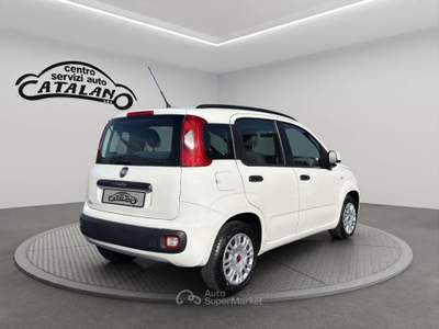 Fiat Panda 1.3 Mjt S&S Lounge Bianco usata Maniace