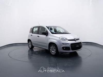 Fiat Panda New 1.2 GPL Lounge Grigio usata Pozzuoli