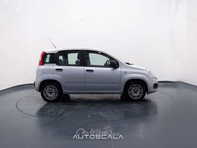 Fiat Panda New 1.2 GPL Lounge Grigio usata Pozzuoli