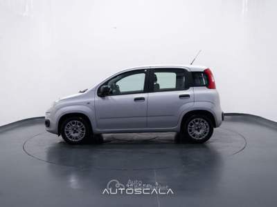 Fiat Panda New 1.2 GPL Lounge Grigio usata Pozzuoli