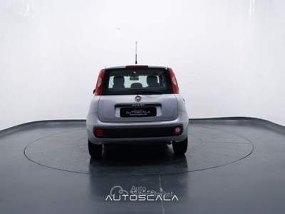 Fiat Panda New 1.2 GPL Lounge Grigio usata Pozzuoli