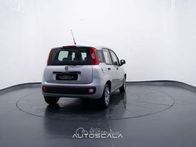 Fiat Panda New 1.2 GPL Lounge Grigio usata Pozzuoli