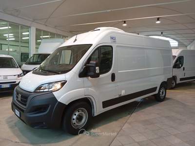 Fiat Ducato VEICOLO  FRIGO -20° Bianco usata Mede