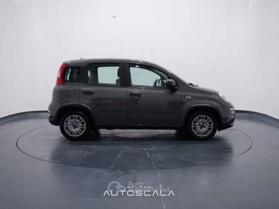 Fiat Panda New 1.0 FireFly City Life S&S Hybrid Grigio usata Pozzuoli