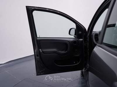 Fiat Panda New 1.0 FireFly City Life S&S Hybrid Grigio usata Pozzuoli