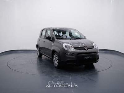 Fiat Panda New 1.0 FireFly City Life S&S Hybrid Grigio usata Pozzuoli