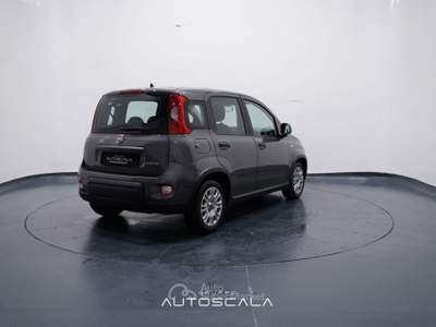 Fiat Panda New 1.0 FireFly City Life S&S Hybrid Grigio usata Pozzuoli