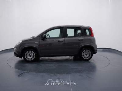 Fiat Panda New 1.0 FireFly City Life S&S Hybrid Grigio usata Pozzuoli