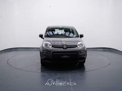 Fiat Panda New 1.0 FireFly City Life S&S Hybrid Grigio usata Pozzuoli