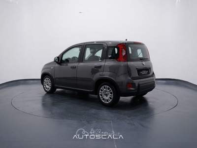 Fiat Panda New 1.0 FireFly City Life S&S Hybrid Grigio usata Pozzuoli