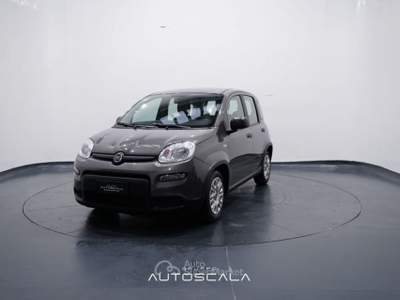 Fiat Panda New 1.0 FireFly City Life S&S Hybrid Grigio usata Pozzuoli