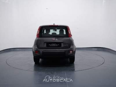 Fiat Panda New 1.0 FireFly City Life S&S Hybrid Grigio usata Pozzuoli