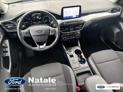 Ford Focus 1.5 Ecoblue 120 CV Business Co-Pilot Automatica berlina Grigio usata Pignataro Maggiore