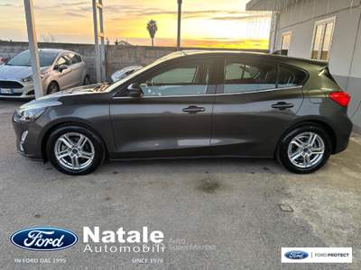 Ford Focus 1.5 Ecoblue 120 CV Business Co-Pilot Automatica berlina Grigio usata Pignataro Maggiore