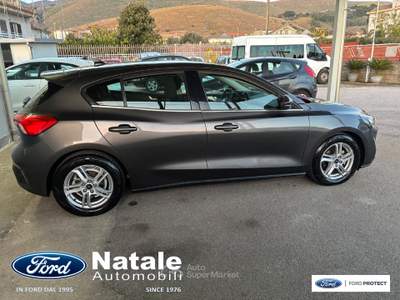 Ford Focus 1.5 Ecoblue 120 CV Business Co-Pilot Automatica berlina Grigio usata Pignataro Maggiore