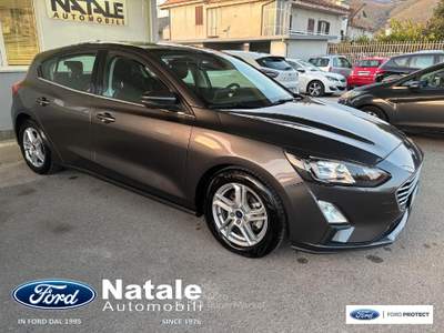 Ford Focus 1.5 Ecoblue 120 CV Business Co-Pilot Automatica berlina Grigio usata Pignataro Maggiore