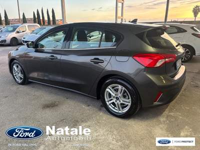 Ford Focus 1.5 Ecoblue 120 CV Business Co-Pilot Automatica berlina Grigio usata Pignataro Maggiore