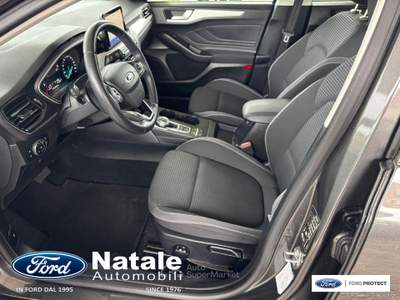 Ford Focus 1.5 Ecoblue 120 CV Business Co-Pilot Automatica berlina Grigio usata Pignataro Maggiore