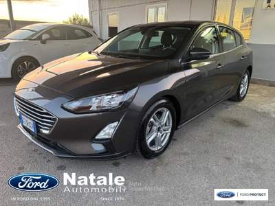 Ford Focus 1.5 Ecoblue 120 CV Business Co-Pilot Automatica berlina Grigio usata Pignataro Maggiore