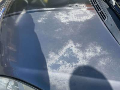 Citroen Xsara Xsara Picasso Picasso 1.6 Classique Pack usata Villa di Tirano