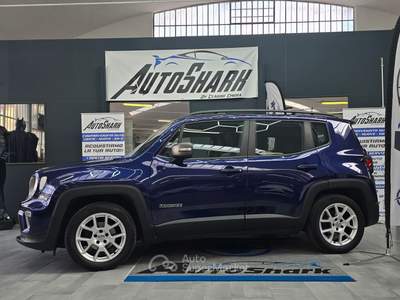 Jeep Renegade JEEP RENEGADE 1.0 T3 BEN/GPL LIMITED 120CV 2020 Blu/Azzurro usata Torino