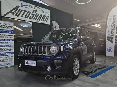 Jeep Renegade JEEP RENEGADE 1.0 T3 BEN/GPL LIMITED 120CV 2020 Blu/Azzurro usata Torino