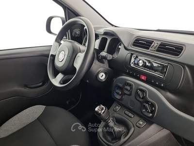 Fiat Panda 1.0 FireFly S&S Hybrid Grigio usata Reggio nell'Emilia