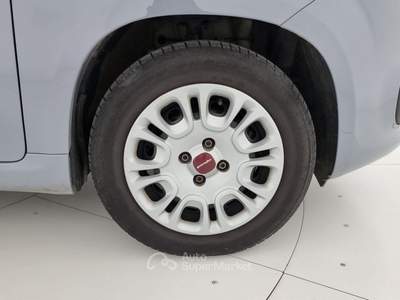 Fiat Panda 1.0 FireFly S&S Hybrid Grigio usata Reggio nell'Emilia