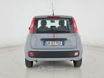 Fiat Panda 1.0 FireFly S&S Hybrid Grigio usata Reggio nell'Emilia