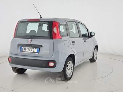 Fiat Panda 1.0 FireFly S&S Hybrid Grigio usata Reggio nell'Emilia