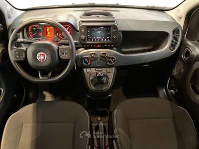 Fiat Panda Panda Cross 1.0 FireFly Hybrid 70cv S&S 5p.ti NO VINCOLI Bianco usata Como
