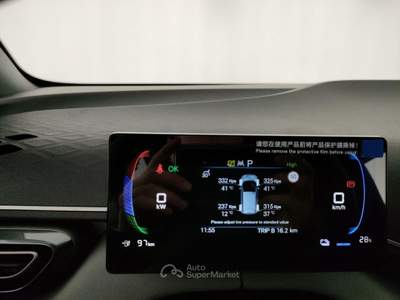 BYD Dolphin Surf 43,2 kWh Boost Verde usata Barletta
